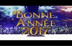 Bonne et heureuse année 2017