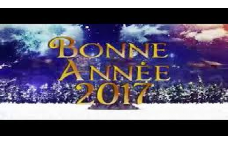Bonne et heureuse année 2017